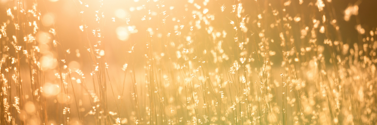 Sonnenpflege